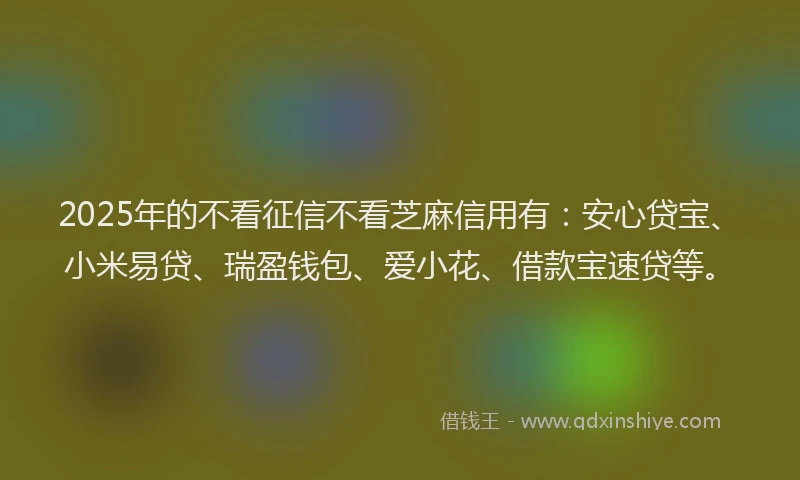 2025年的不看征信不看芝麻信用有：安心贷宝、小米易贷、瑞盈钱包、爱小花、借款宝速贷等。