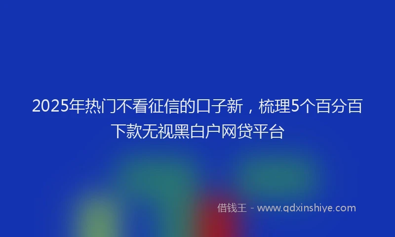 2025年热门不看征信的口子新，梳理5个百分百下款无视黑白户网贷平台