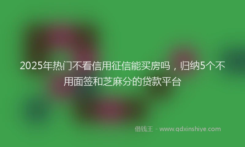 2025年热门不看信用征信能买房吗，归纳5个不用面签和芝麻分的贷款平台