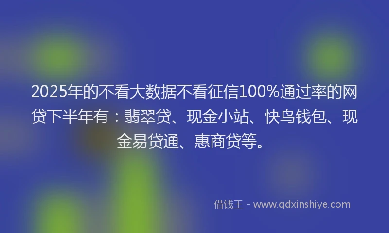 2025年的不看大数据不看征信100%通过率的网贷下半年有：翡翠贷、现金小站、快鸟钱包、现金易贷通、惠商贷等。