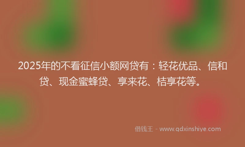 2025年的不看征信小额网贷有：轻花优品、信和贷、现金蜜蜂贷、享来花、桔享花等。