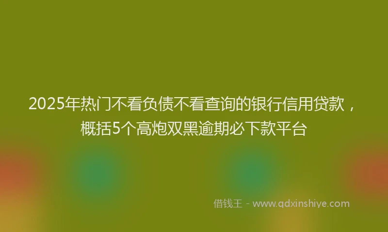 2025年热门不看负债不看查询的银行信用贷款，概括5个高炮双黑逾期必下款平台