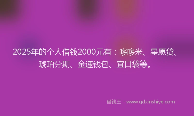 2025年的个人借钱2000元有：哆哆米、星愿贷、琥珀分期、金速钱包、宜口袋等。