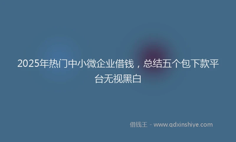 2025年热门中小微企业借钱，总结五个包下款平台无视黑白