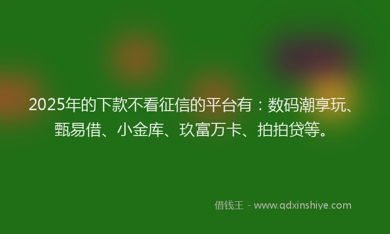 2025年的下款不看征信的平台有：数码潮享玩、甄易借、小金库、玖富万卡、拍拍贷等。