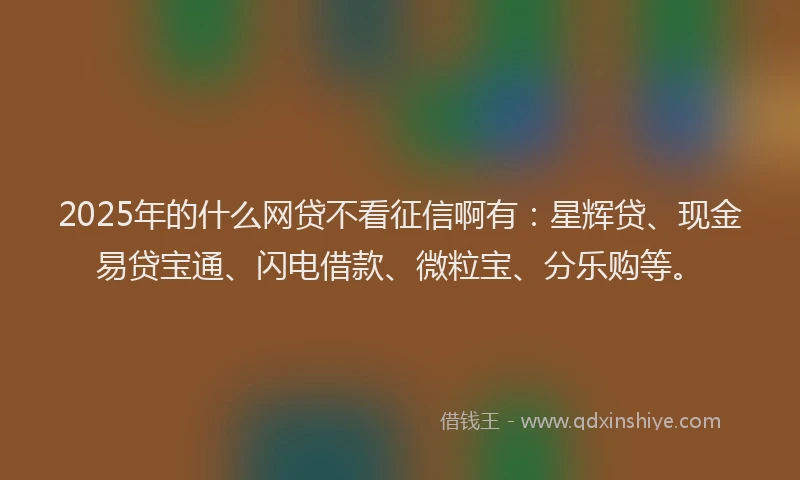 2025年的什么网贷不看征信啊有：星辉贷、现金易贷宝通、闪电借款、微粒宝、分乐购等。