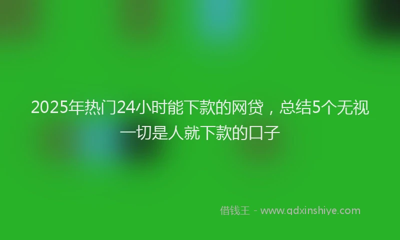 2025年热门24小时能下款的网贷，总结5个无视一切是人就下款的口子