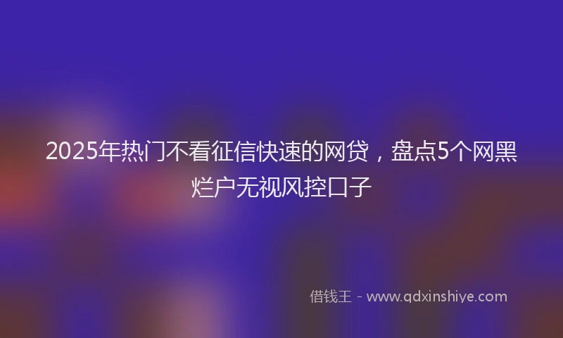 2025年热门不看征信快速的网贷，盘点5个网黑烂户无视风控口子