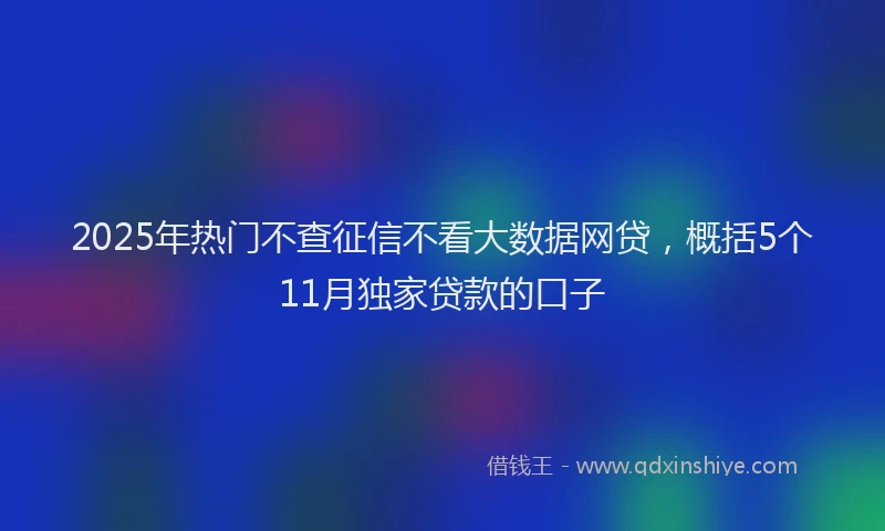 2025年热门不查征信不看大数据网贷，概括5个11月独家贷款的口子