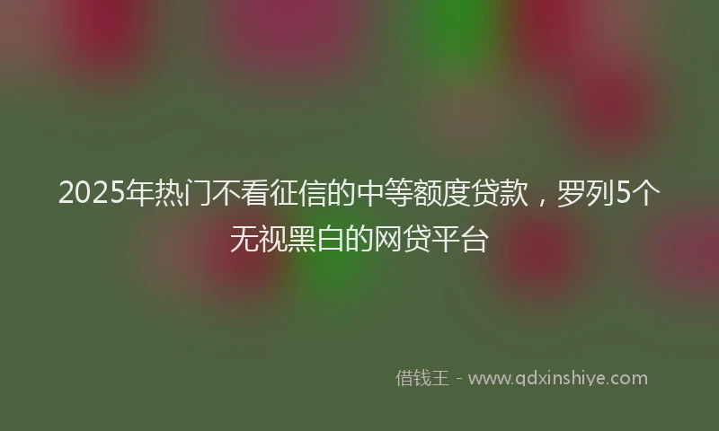 2025年热门不看征信的中等额度贷款，罗列5个无视黑白的网贷平台