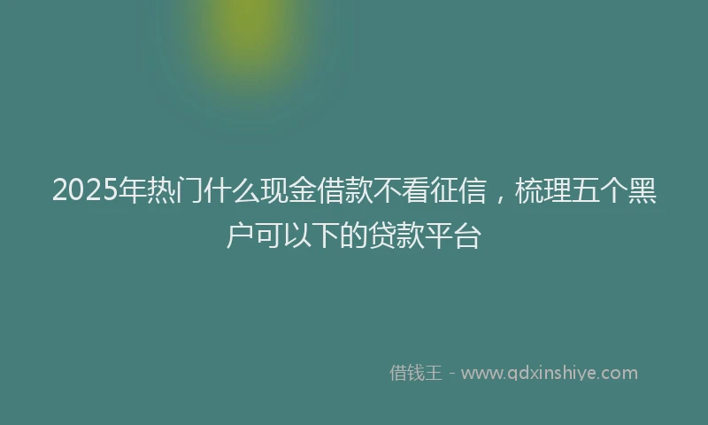2025年热门什么现金借款不看征信，梳理五个黑户可以下的贷款平台