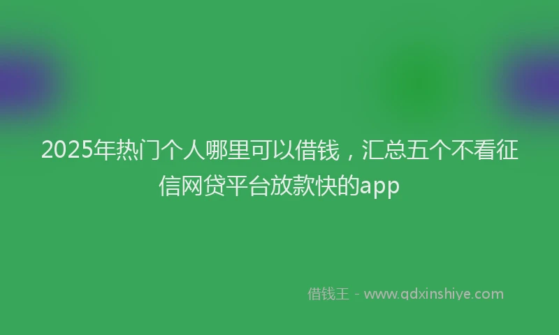 2025年热门个人哪里可以借钱，汇总五个不看征信网贷平台放款快的app