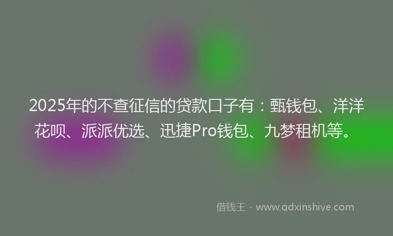 2025年的不查征信的贷款口子有：甄钱包、洋洋花呗、派派优选、迅捷Pro钱包、九梦租机等。
