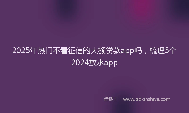 2025年热门不看征信的大额贷款app吗，梳理5个2024放水app