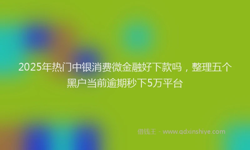 2025年热门中银消费微金融好下款吗，整理五个黑户当前逾期秒下5万平台