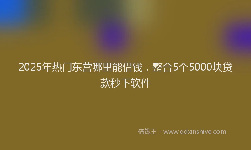 2025年热门东营哪里能借钱，整合5个5000块贷款秒下软件