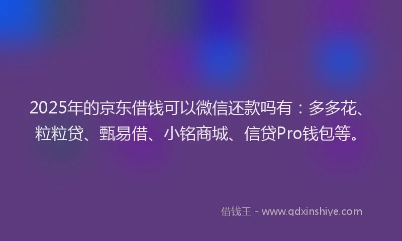 2025年的京东借钱可以微信还款吗有：多多花、粒粒贷、甄易借、小铭商城、信贷Pro钱包等。