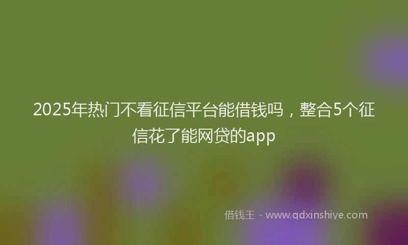 2025年热门不看征信平台能借钱吗，整合5个征信花了能网贷的app