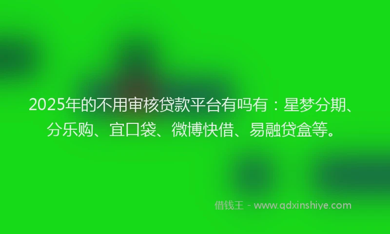 2025年的不用审核贷款平台有吗有：星梦分期、分乐购、宜口袋、微博快借、易融贷盒等。