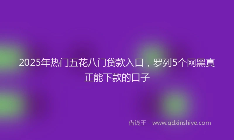 2025年热门五花八门贷款入口，罗列5个网黑真正能下款的口子