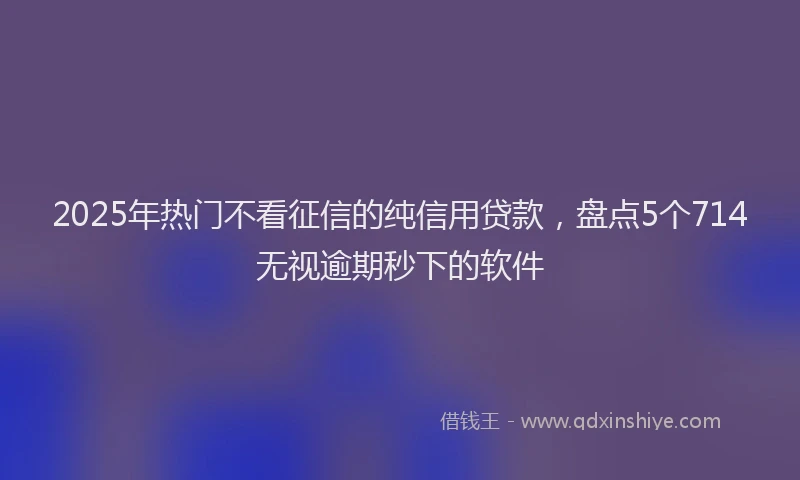 2025年热门不看征信的纯信用贷款，盘点5个714无视逾期秒下的软件