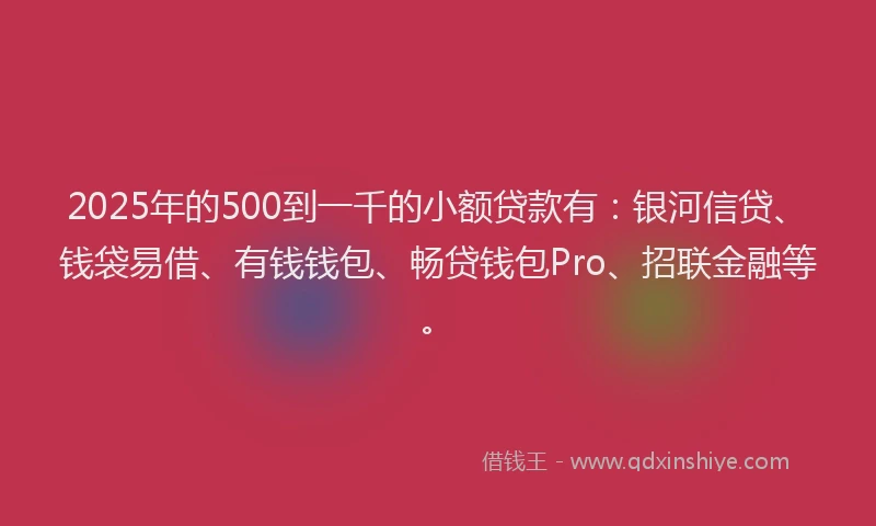 2025年的500到一千的小额贷款有：银河信贷、钱袋易借、有钱钱包、畅贷钱包Pro、招联金融等。