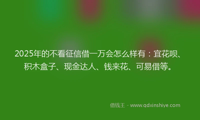 2025年的不看征信借一万会怎么样有：宜花呗、积木盒子、现金达人、钱来花、可易借等。
