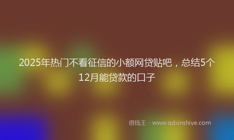 2025年热门不看征信的小额网贷贴吧，总结5个12月能贷款的口子