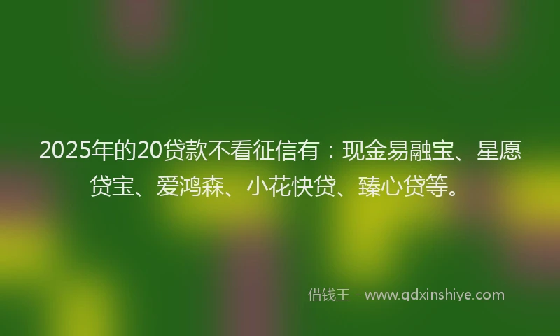 2025年的20贷款不看征信有：现金易融宝、星愿贷宝、爱鸿森、小花快贷、臻心贷等。
