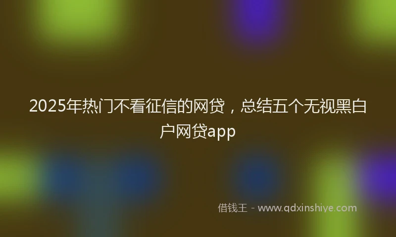 2025年热门不看征信的网贷，总结五个无视黑白户网贷app