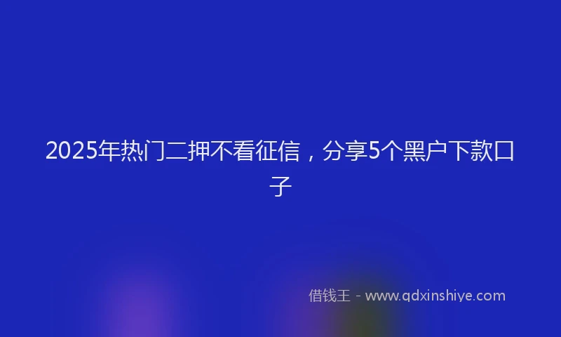 2025年热门二押不看征信，分享5个黑户下款口子