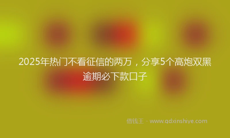 2025年热门不看征信的两万，分享5个高炮双黑逾期必下款口子