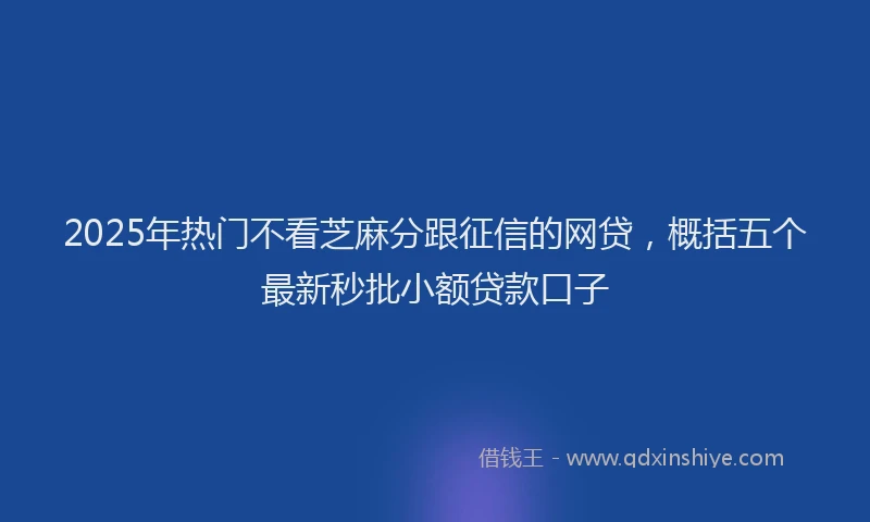 2025年热门不看芝麻分跟征信的网贷，概括五个最新秒批小额贷款口子