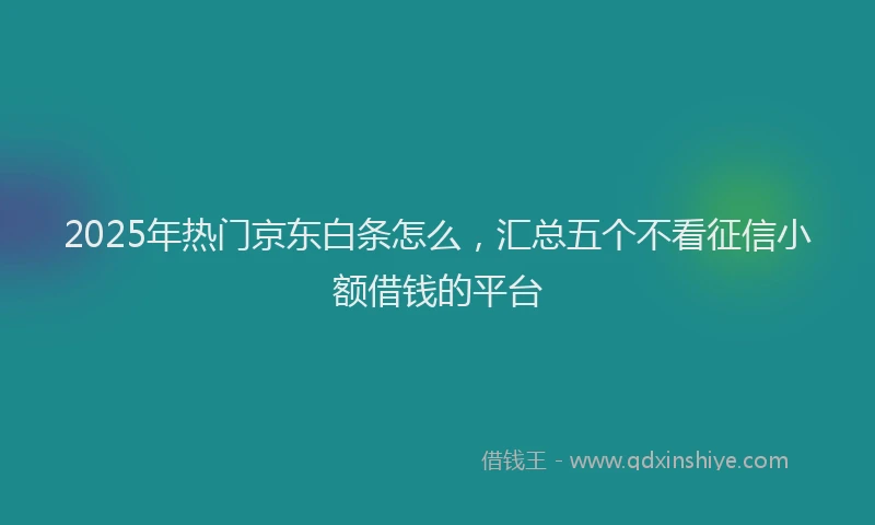 2025年热门京东白条怎么，汇总五个不看征信小额借钱的平台