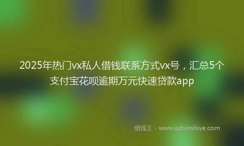2025年热门vx私人借钱联系方式vx号，汇总5个支付宝花呗逾期万元快速贷款app