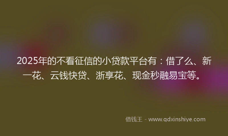 2025年的不看征信的小贷款平台有：借了么、新一花、云钱快贷、浙享花、现金秒融易宝等。