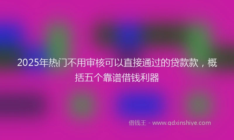 2025年热门不用审核可以直接通过的贷款款，概括五个靠谱借钱利器