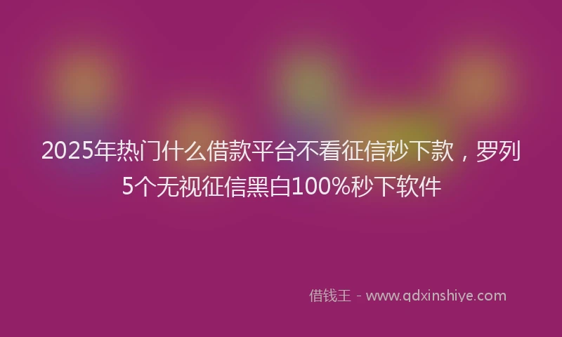2025年热门什么借款平台不看征信秒下款，罗列5个无视征信黑白100%秒下软件