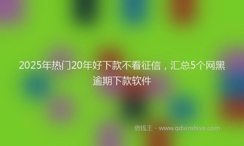 2025年热门20年好下款不看征信，汇总5个网黑逾期下款软件