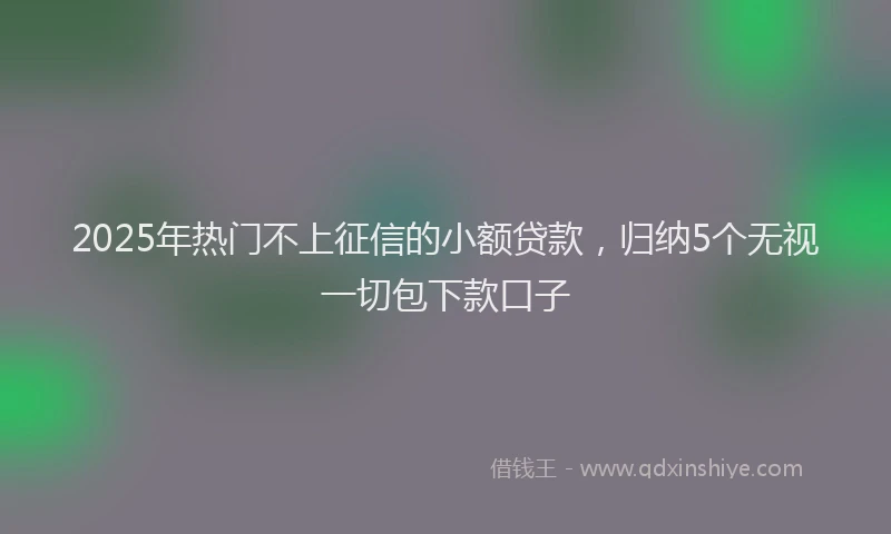 2025年热门不上征信的小额贷款，归纳5个无视一切包下款口子