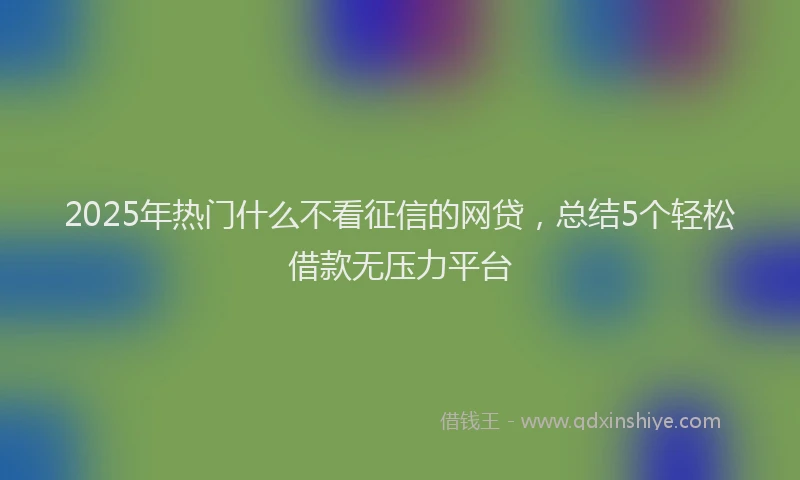2025年热门什么不看征信的网贷，总结5个轻松借款无压力平台