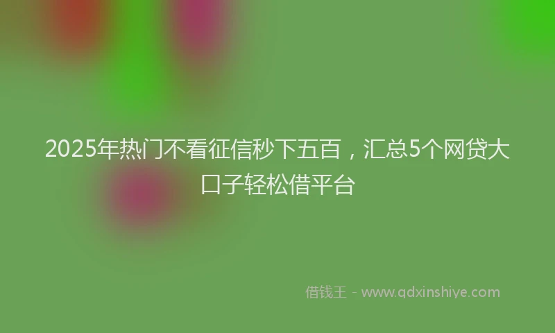 2025年热门不看征信秒下五百，汇总5个网贷大口子轻松借平台