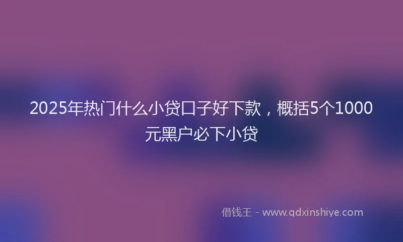 2025年热门什么小贷口子好下款，概括5个1000元黑户必下小贷