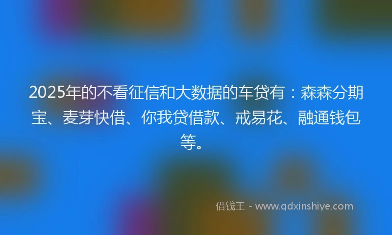 2025年的不看征信和大数据的车贷有：森森分期宝、麦芽快借、你我贷借款、戒易花、融通钱包等。