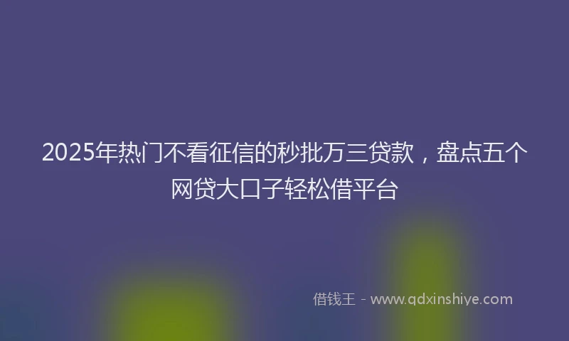 2025年热门不看征信的秒批万三贷款，盘点五个网贷大口子轻松借平台