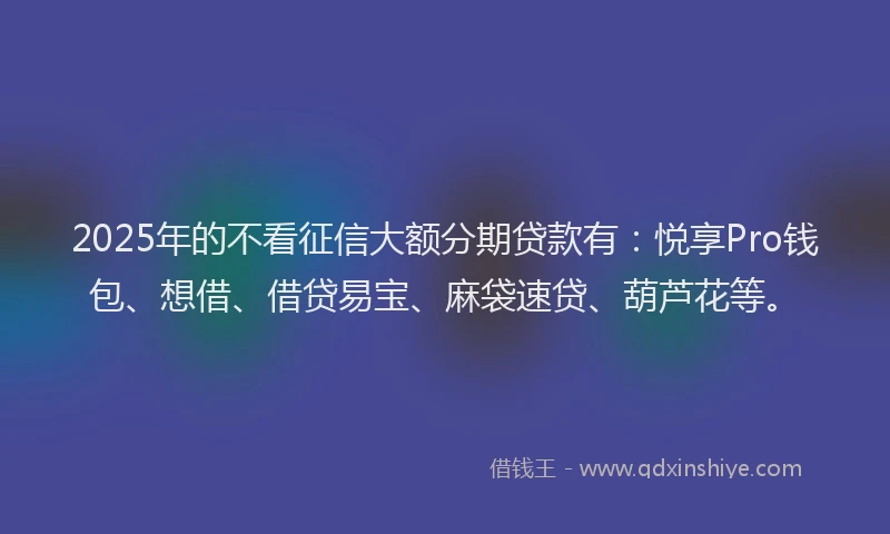 2025年的不看征信大额分期贷款有：悦享Pro钱包、想借、借贷易宝、麻袋速贷、葫芦花等。