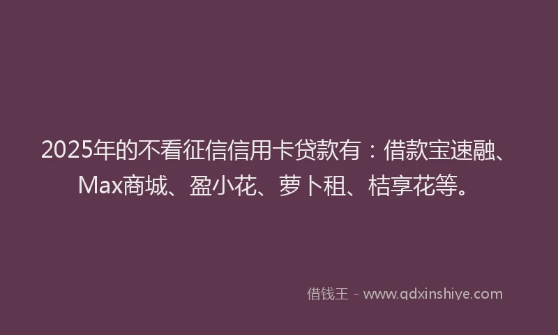 2025年的不看征信信用卡贷款有：借款宝速融、Max商城、盈小花、萝卜租、桔享花等。