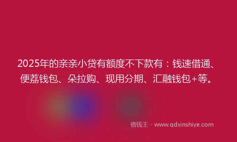 2025年的亲亲小贷有额度不下款有：钱速借通、便荔钱包、朵拉购、现用分期、汇融钱包+等。