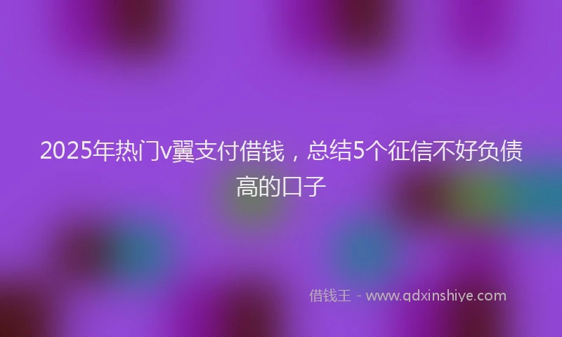 2025年热门v翼支付借钱，总结5个征信不好负债高的口子