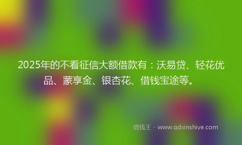 2025年的不看征信大额借款有：沃易贷、轻花优品、蒙享金、银杏花、借钱宝途等。